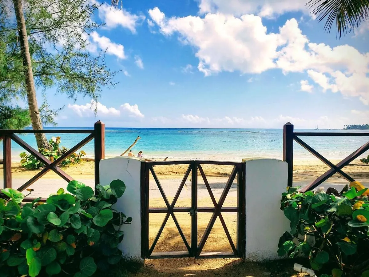Luxury Penthouse Best Ocean Views Pools Bbq Maid 拉斯特拉纳斯 0*,